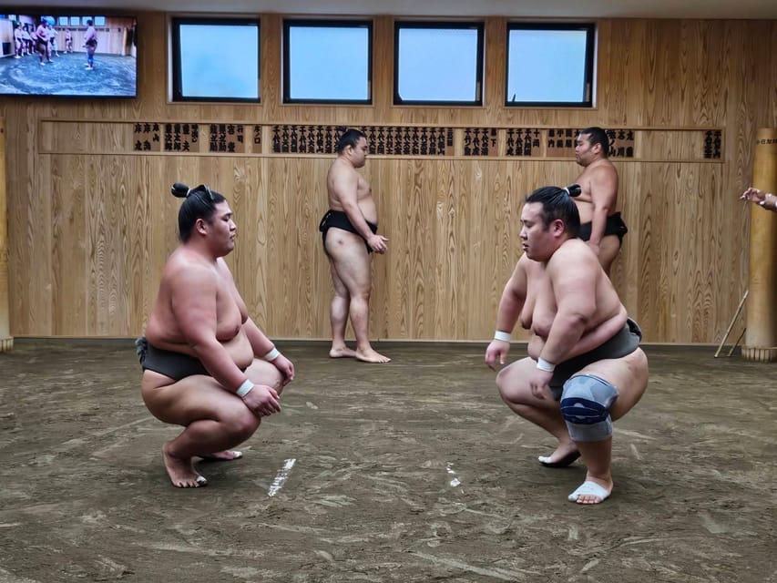 Tokyo: Grand Sumo Morning Training Tour - What to Expect During Training