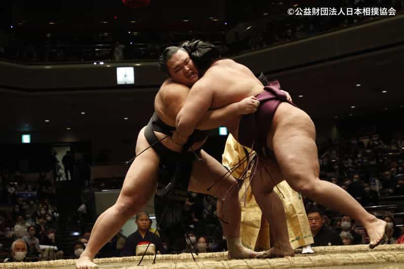 Tokyo: Grand Sumo Tournament 1 Day Entry Ticket - Group Size and Accessibility