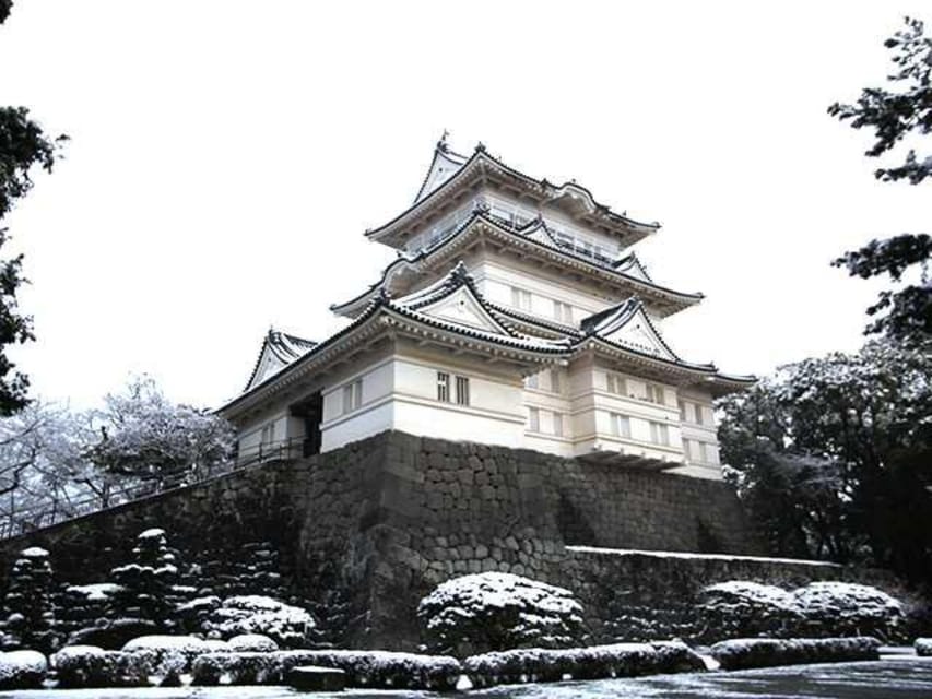 Tokyo: Guided Tour Mt. Fuji, Oishi Park, Odawara,Tokyo Tower - Booking and Cancellation Policy