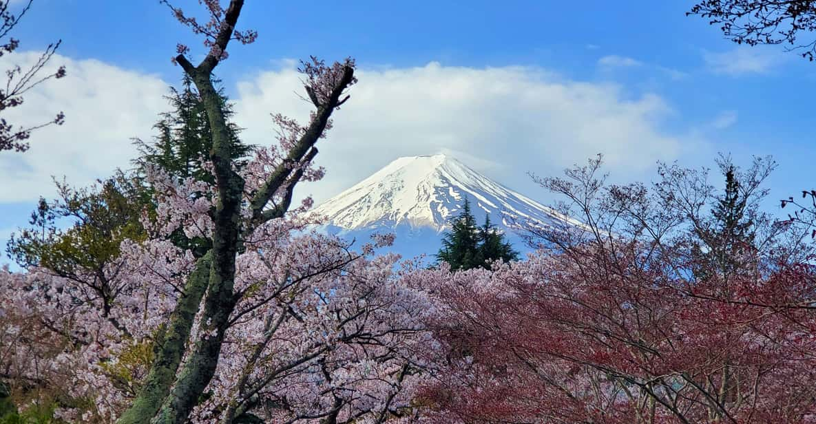 Tokyo, Mount Fuji and Hakone 3 Days Tour - Transportation Details