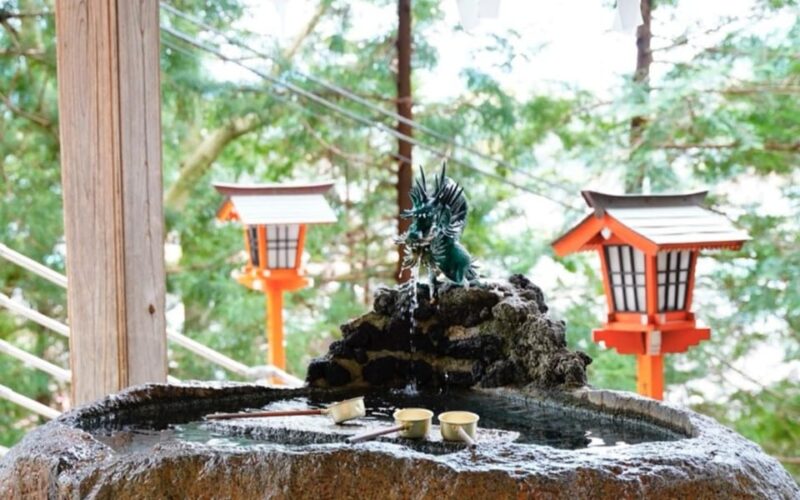 Tokyo: Mount Fuji Kawaguchiko Ropeway One Day Tour - Accessibility Considerations
