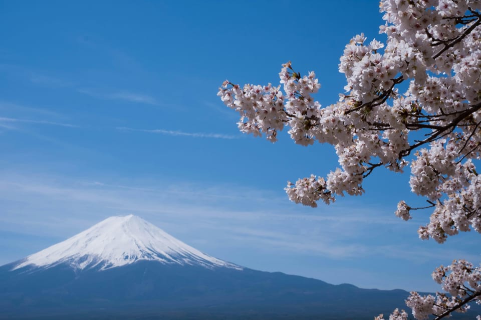 Tokyo: Mt. Fuji Day Trip for Couples With Pick&Drop Service - Important Considerations