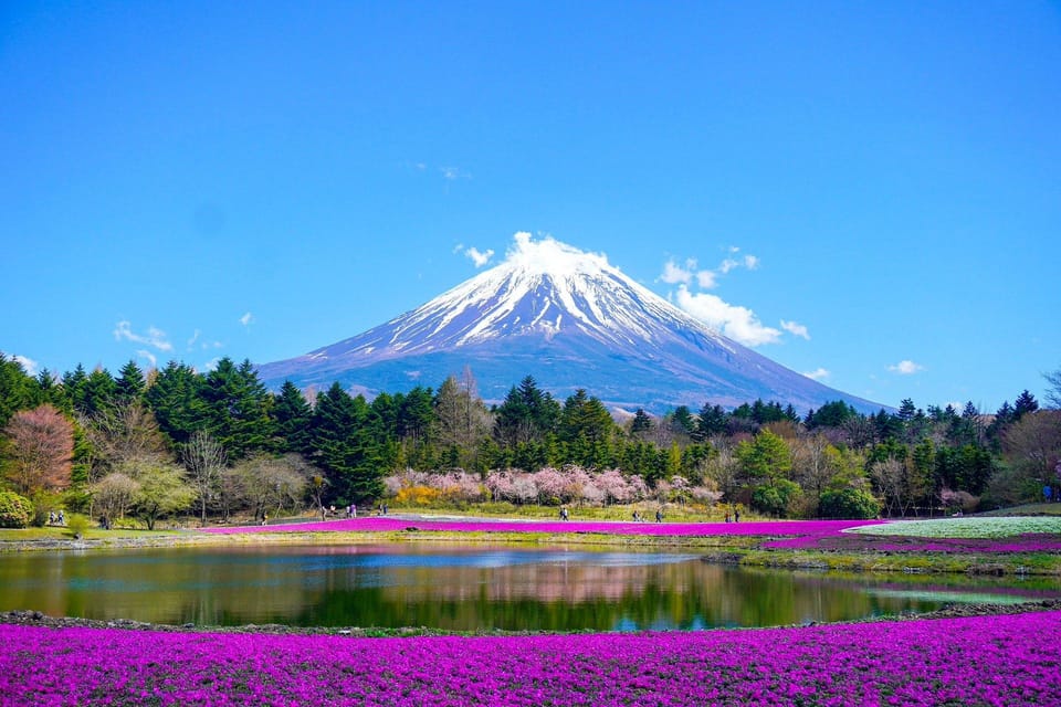 Tokyo: Mt. Fuji & Hakone Tour With English Speaking Driver. - Scenic Spots to Explore