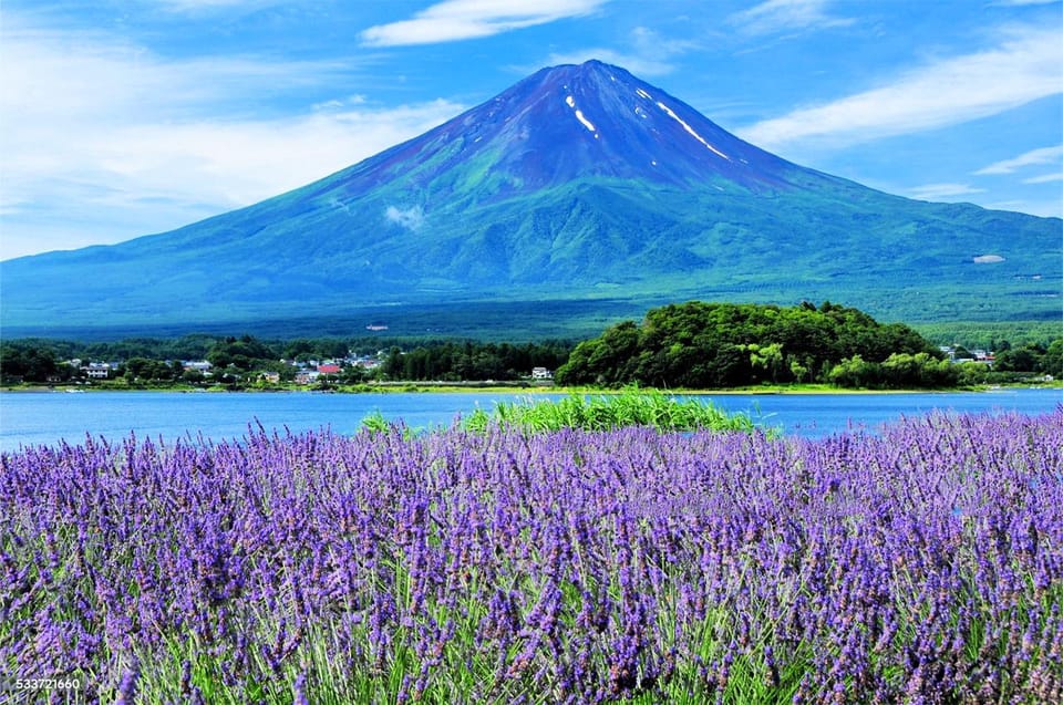 Tokyo: Mt. Fuji, Oshino Hakkai, Kawaguchi Lake 1-Day Trip - Booking and Cancellation Policy