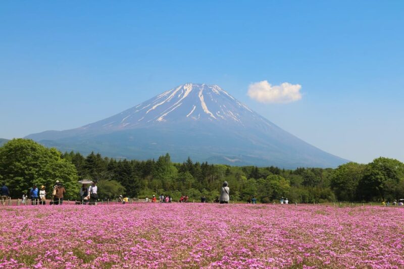 Tokyo: Mt.Fuji Private Tour With Pick & Drop Service - Inclusions and Exclusions