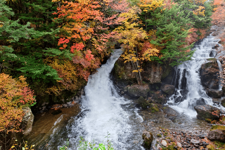 Tokyo: Nikko Highlights Tour With Temples, Waterfalls & Lake - Essential Recommendations