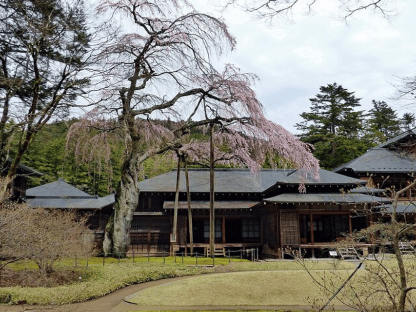 Tokyo: Nikko World Heritage Private Day Trip Hotel Pick-up - Customer Feedback