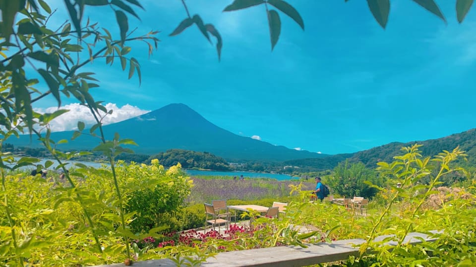 Tokyo: Private Day Trip to Mt. Fuji With Custom Itinerary - Guided Experience Highlights