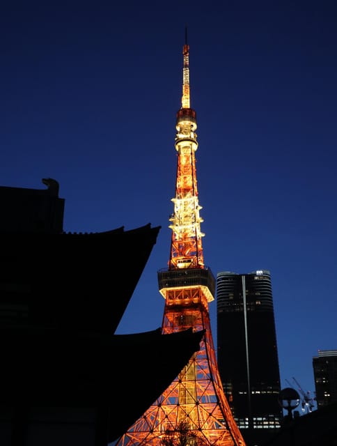 Tokyo: Private Tokyo Tower and Night Food Tour 6pm - Tips for Enjoying Your Tour