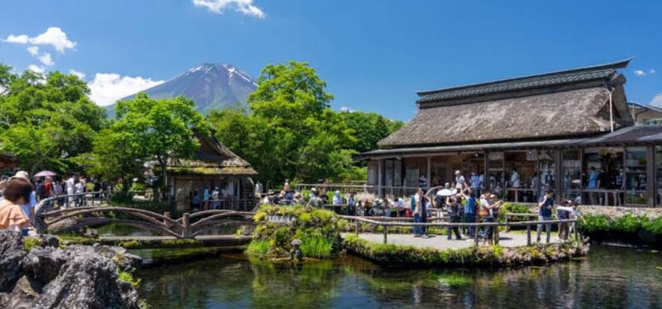 Tokyo to Mt Fuji Private Tour - Booking and Cancellation Policy