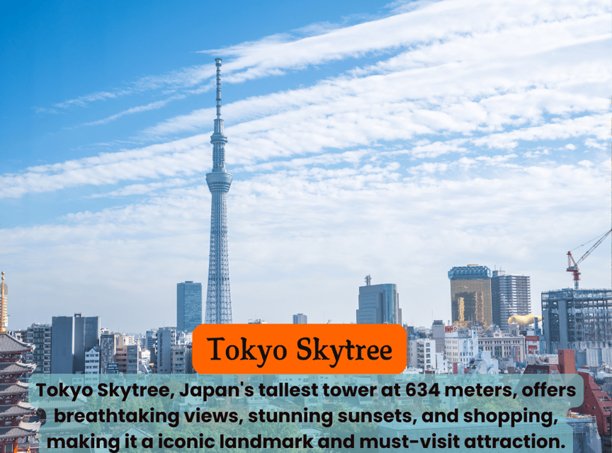 Tokyo Unforgettable Private Tour for Family(Up-To 6 Persons) - Booking and Cancellation Policy