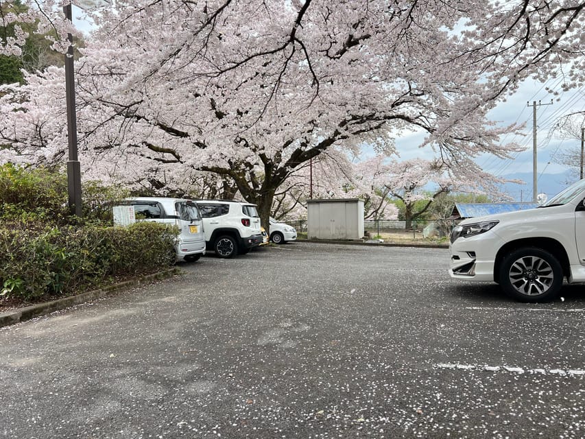 Tokyo:Private Mt Fuji Sightseeing Tour in Luxury Landcruiser - Customizable Tour Options