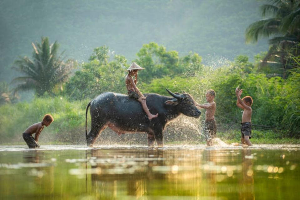 Tonle Sap Cruise & Road Tour Between Phnom Penh & Siem Reap - Accessibility Information