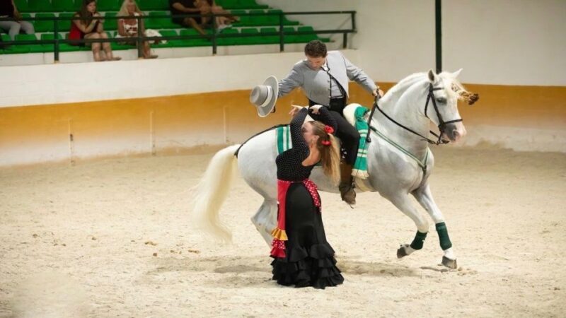 Torremolinos: Horse Show, Dinner Option, Drinks, & Flamenco - Transportation and Pickup Locations