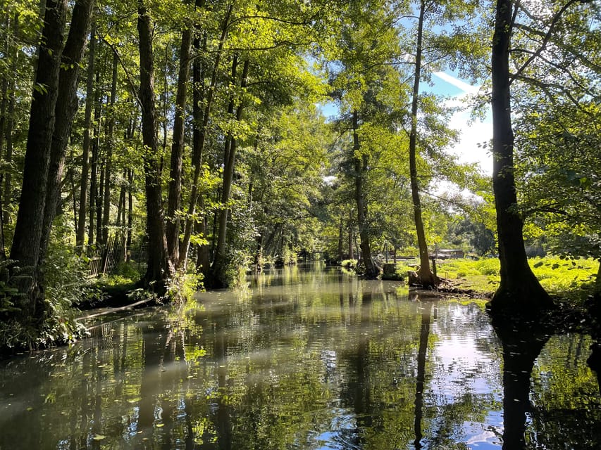 Tour a Spreewald With the Biosphere Boat Ride - Meeting Point