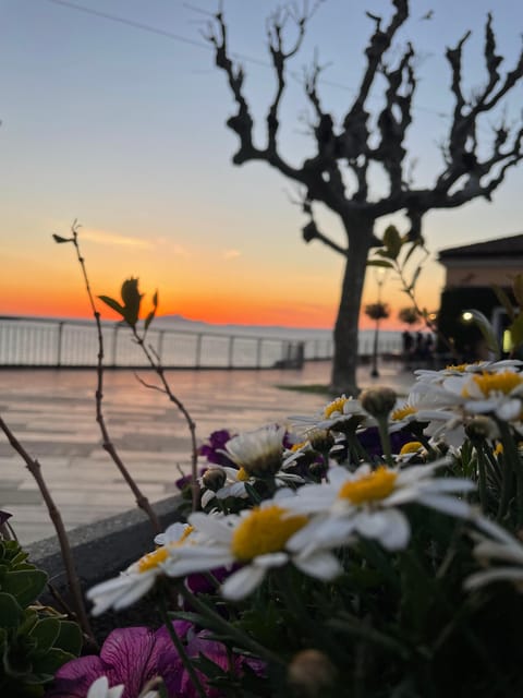 Tour Amalfi Coast - Inclusions and Benefits