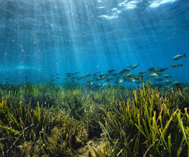 TOUR: Capo Milazzo Marine Protected Area - Frequently Asked Questions