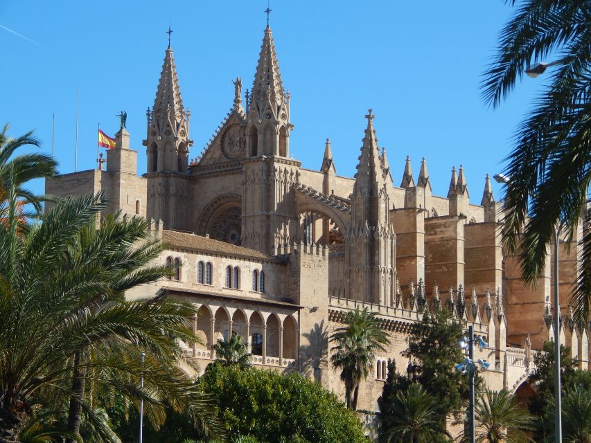 Tour Palma Old Town & Cathedral Skip-The-Line Entry--English - Architectural Interventions