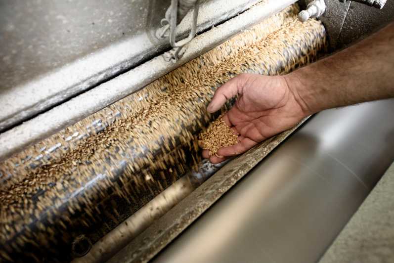 Tradition and Taste: Tour of Caltagirones Historic Mill - Duration and Inclusions