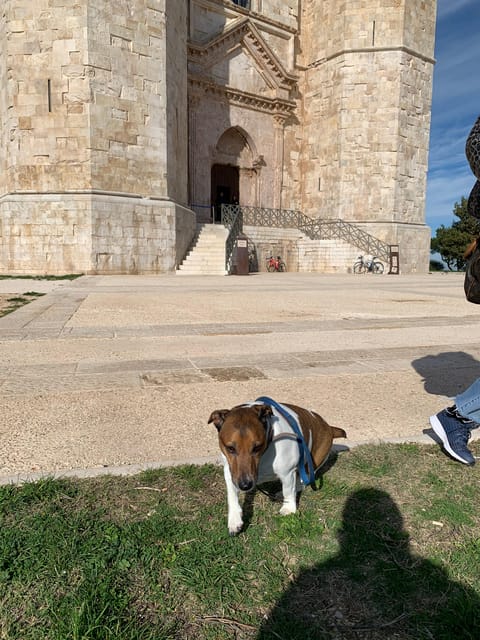 Trani and Castel Del Monte - Inclusions of the Tour