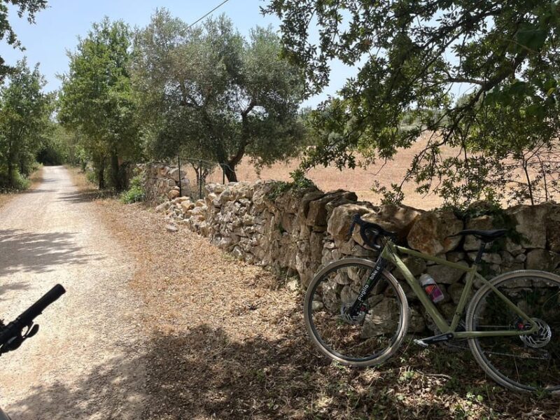 Traveling the Valle D'itria With Professional Bikes - Exploring Scenic Cities