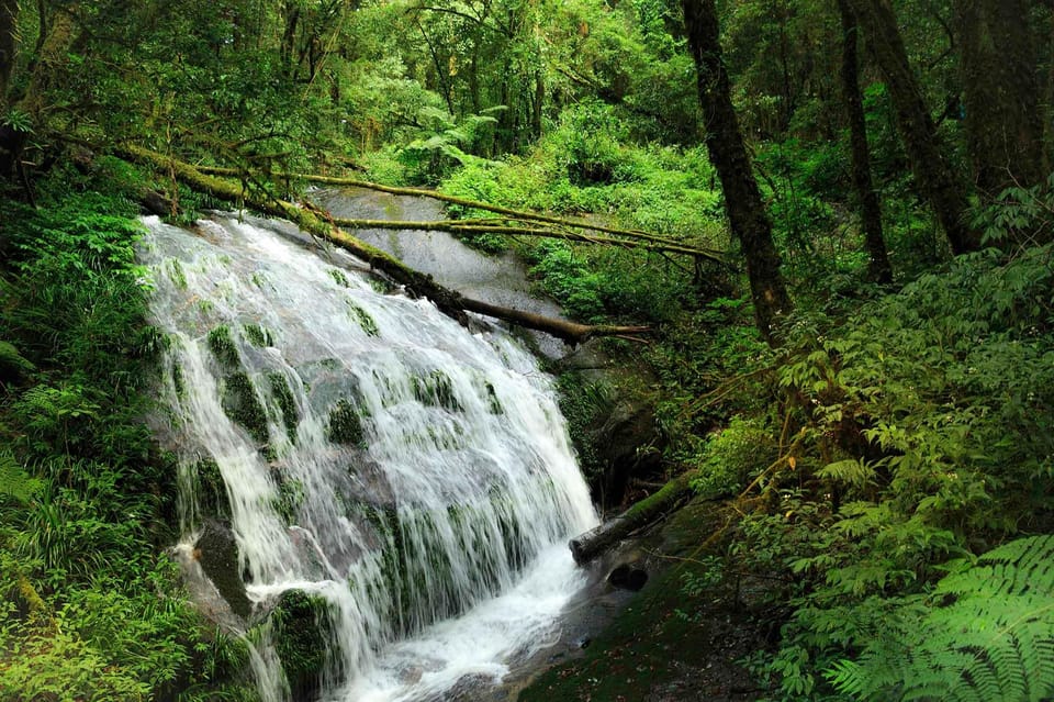 Trek at Doi Inthanon National Park & Pha Dok Siew Trail Trek - Important Information and Restrictions