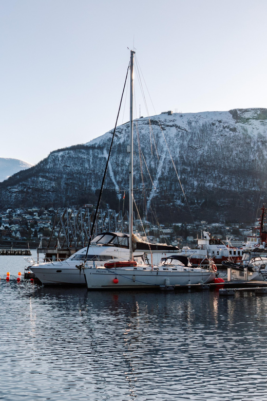 Tromsø: Arctic Flavors Food Walking Tour - Pricing and Cancellation Policy