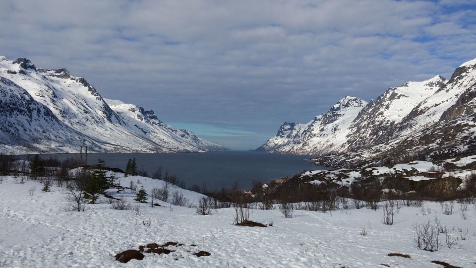 Tromsø: Arctic Landscape and Fjord Tour With Snacks - Wildlife Spotting Opportunities