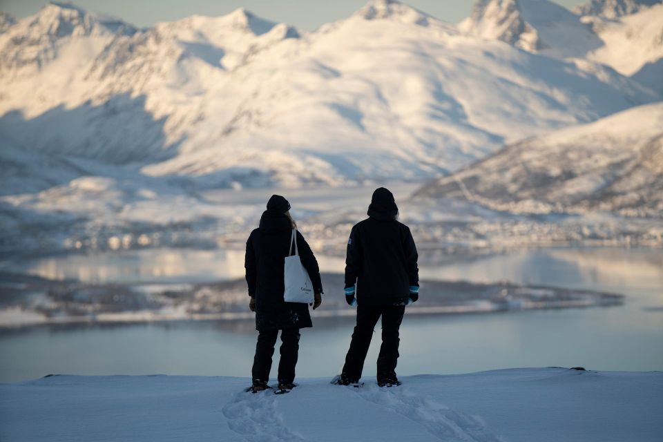 Tromsø: Daytime Fjellheisen Snowshoe Hike and Cable Car Ride - Customer Reviews and Ratings