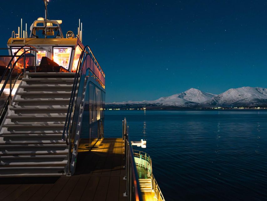 Tromsø: Electric Northern Lights Cruise - Booking Process