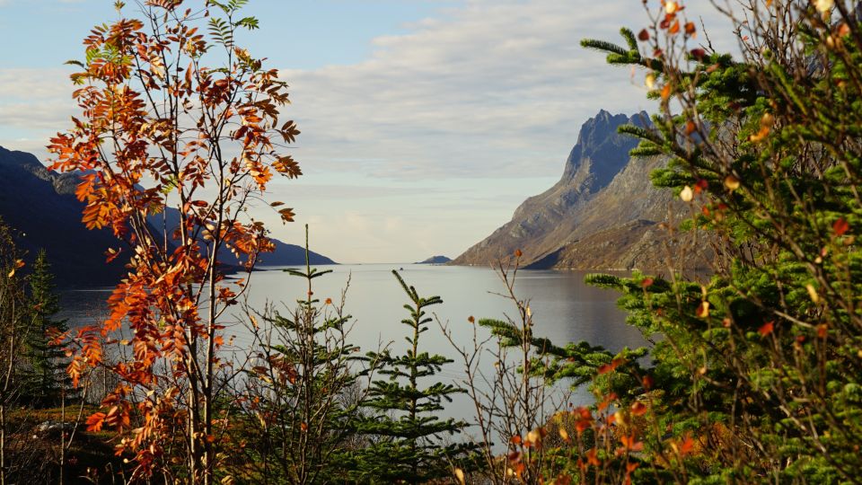 Tromsø: Fjord Sightseeing in a Tesla X Luxury Electric Car - Booking and Cancellation Policies