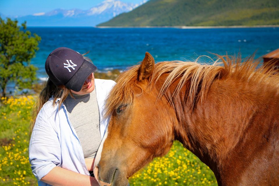 Tromsø: Lyngen Horseback Riding Experience - Frequently Asked Questions