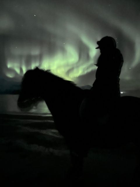 Tromsø: Lyngen Horseback Winter Evening Riding Experience - Safety Guidelines