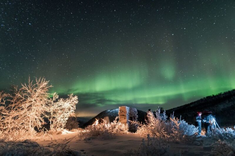 Tromsø: Northern Lights Photography Tour - Customer Reviews and Ratings
