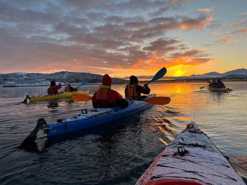 Tromsø: Winter Sea Kayaking Tour With Wildlife Sightings - Customer Reviews and Ratings