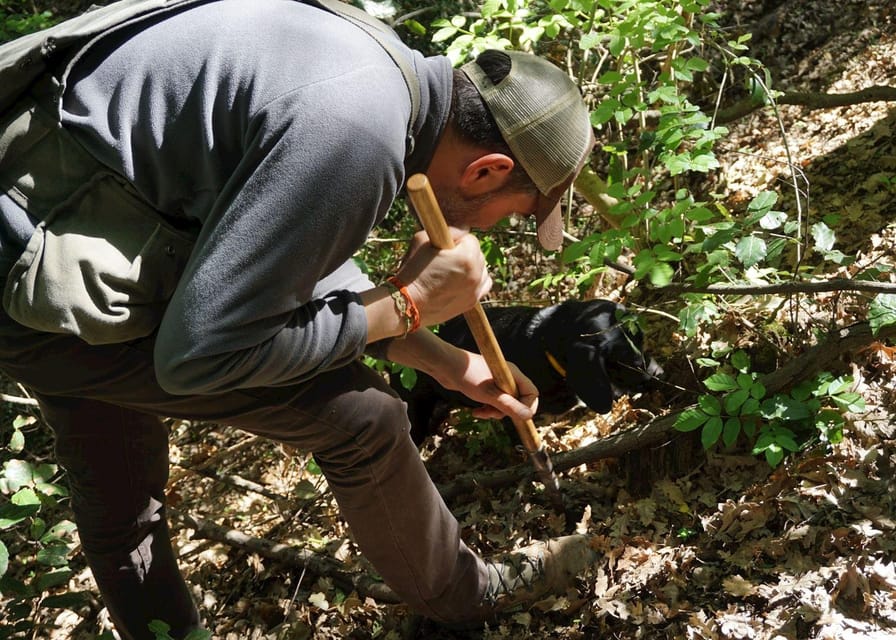 Truffle Hunting, Cooking Class & Truffle Lunch in Tuscany - Important Participation Details