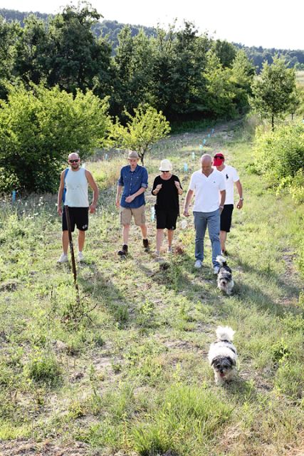 Truffle Hunting in Provence - What to Expect During the Hunt