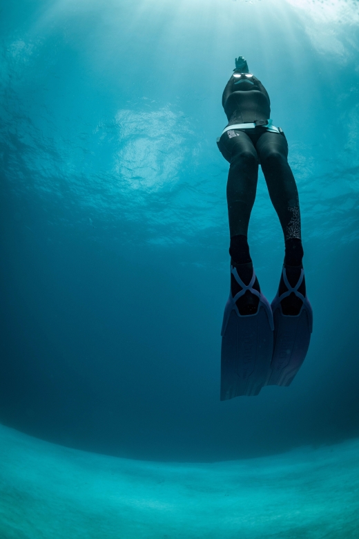 Try Free Diving in the Island of the Big Blue - Experience Highlights