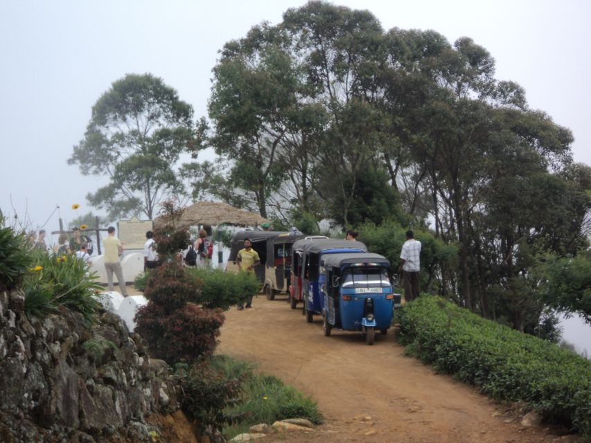 Tuk-Tuk Safari Liptons Seat,Tea Fields Hike,Teafactory Tour - Customer Feedback