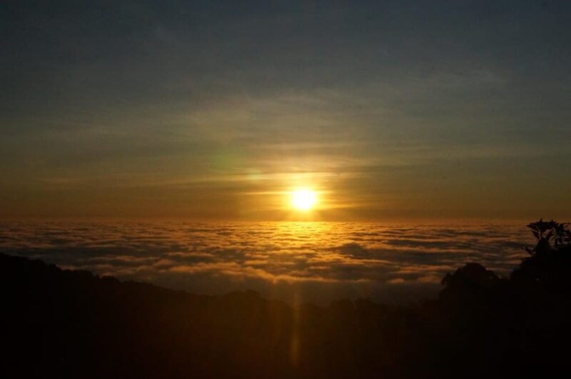 Two Days Doi Inthanon National Park - Meeting Point and Policies