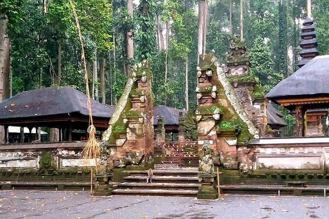 Ubud Tour - Best of Ubud With Jungle Swing - All Inclusive - Optional Temple Exploration