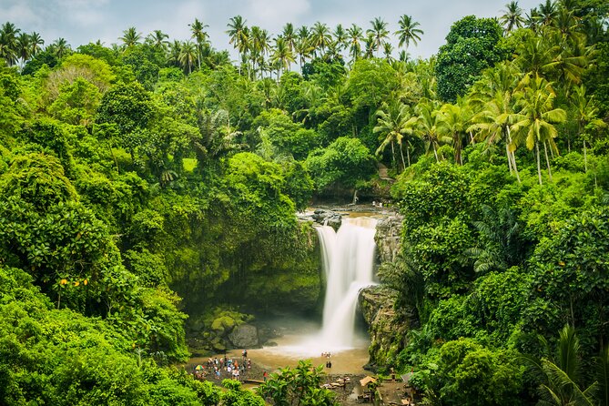 Ubud Waterfall, Rice Terraces, and Swing Explore - Pickup Locations and Accessibility