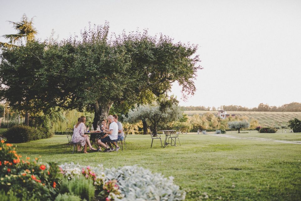 Umag: Olive Oil, Wine, and Local Food at a Family Farm - Customer Feedback