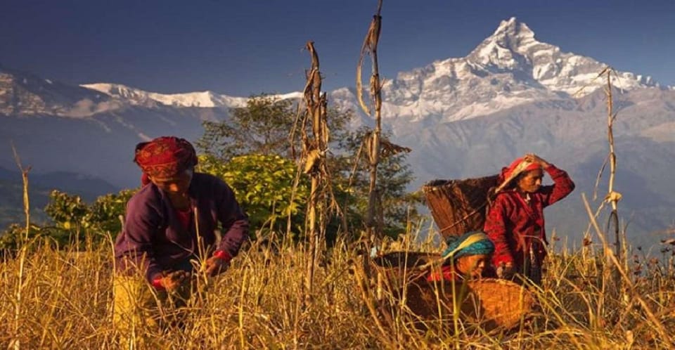 Unforgettable Pokhara to Annapurna Foothills Day Hike - Cultural Encounters in Dhampus