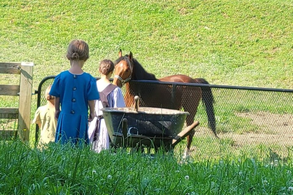 Unique Amish Immersion Experience - Accessibility Considerations