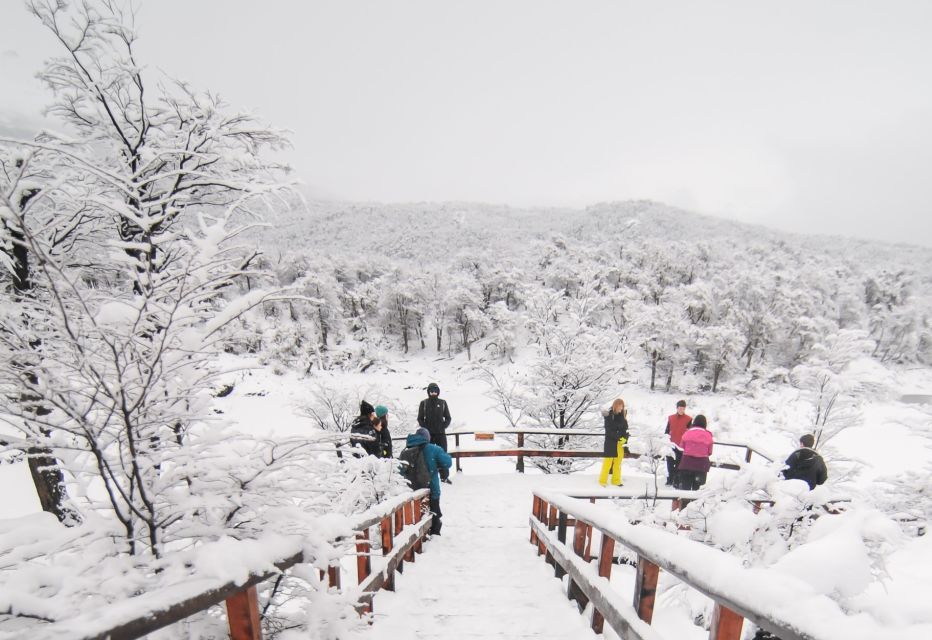 Ushuaia: Winter Tierra Del Fuego Hiking and Canoeing Tour - Customer Reviews