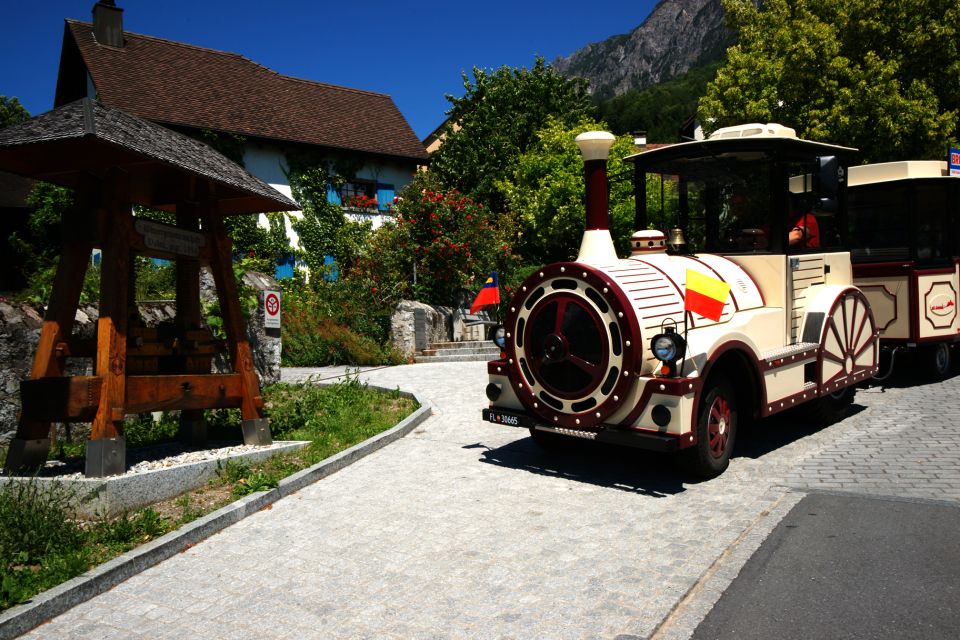 Vaduz: City Train Tour - Age Restrictions and Reservations