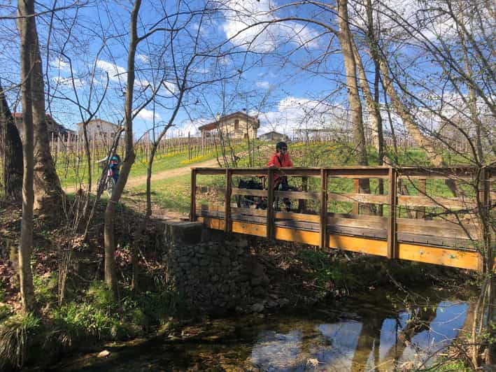 Valdobbiadene: Bike Rental and Prosecco Tasting - Tips for a Great Experience
