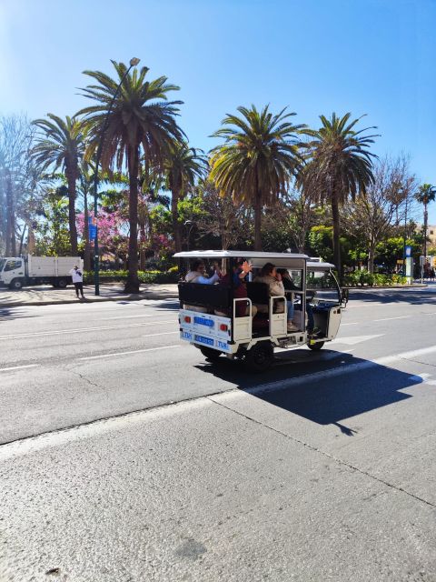 Valencia: City Highlights Guided Tuk-Tuk Tour - Important Information