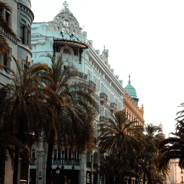 Valencia: Private and Guided City Walking Tour - Customer Feedback and Ratings